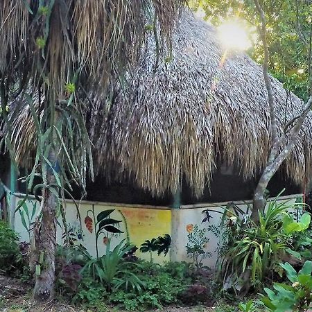 La Casa De Los Ninos Del Arbol Hotel Бакалар Екстериор снимка