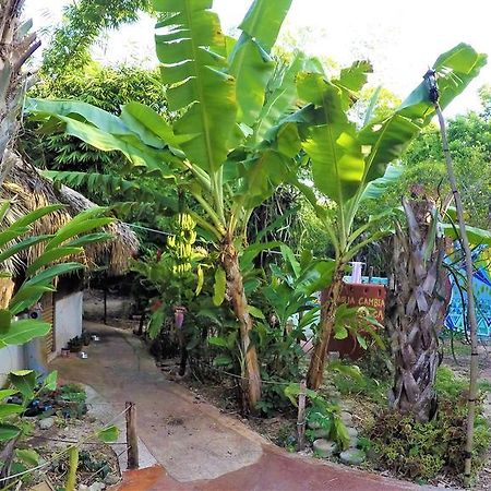 La Casa De Los Ninos Del Arbol Hotel Бакалар Екстериор снимка